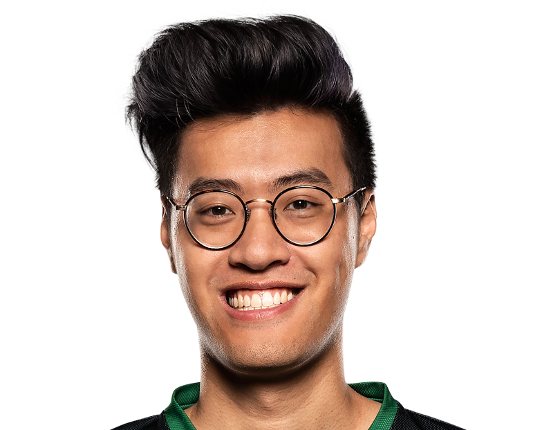 Jason 'WildTurtle' Tran