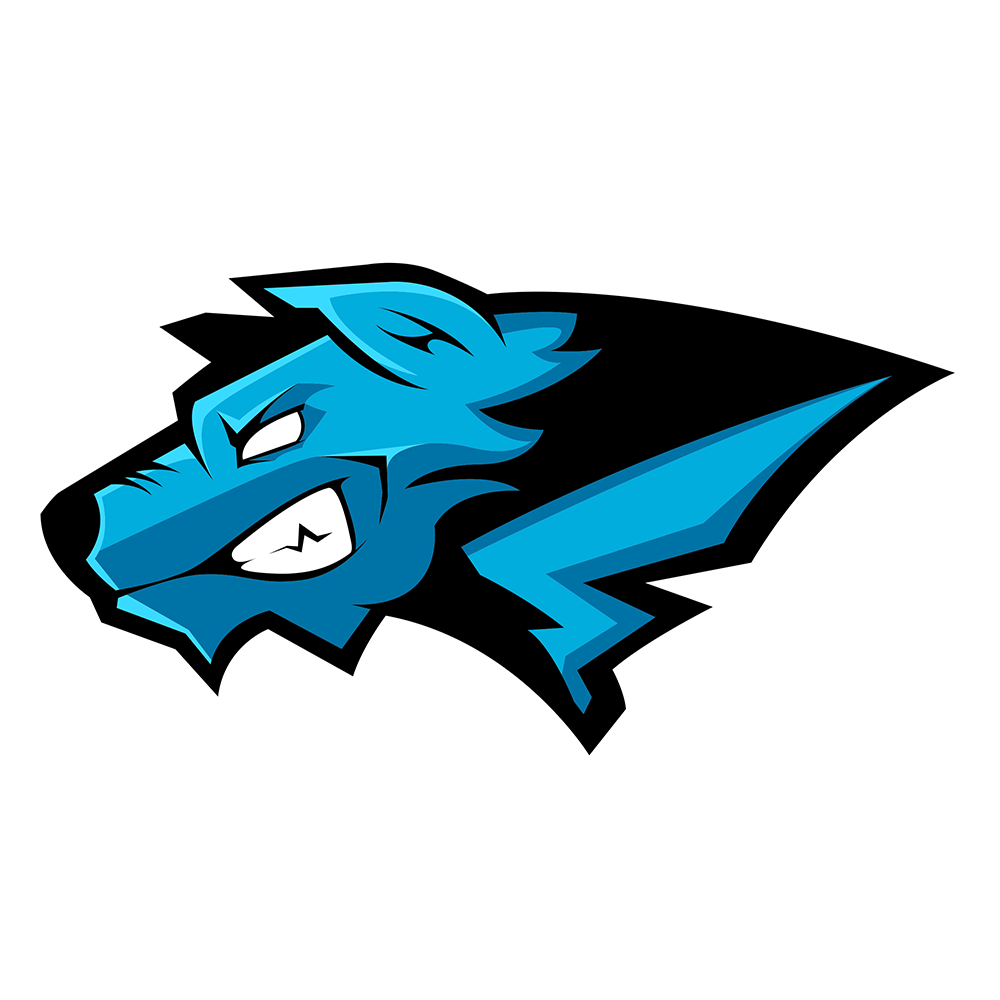 Hafnet eSports